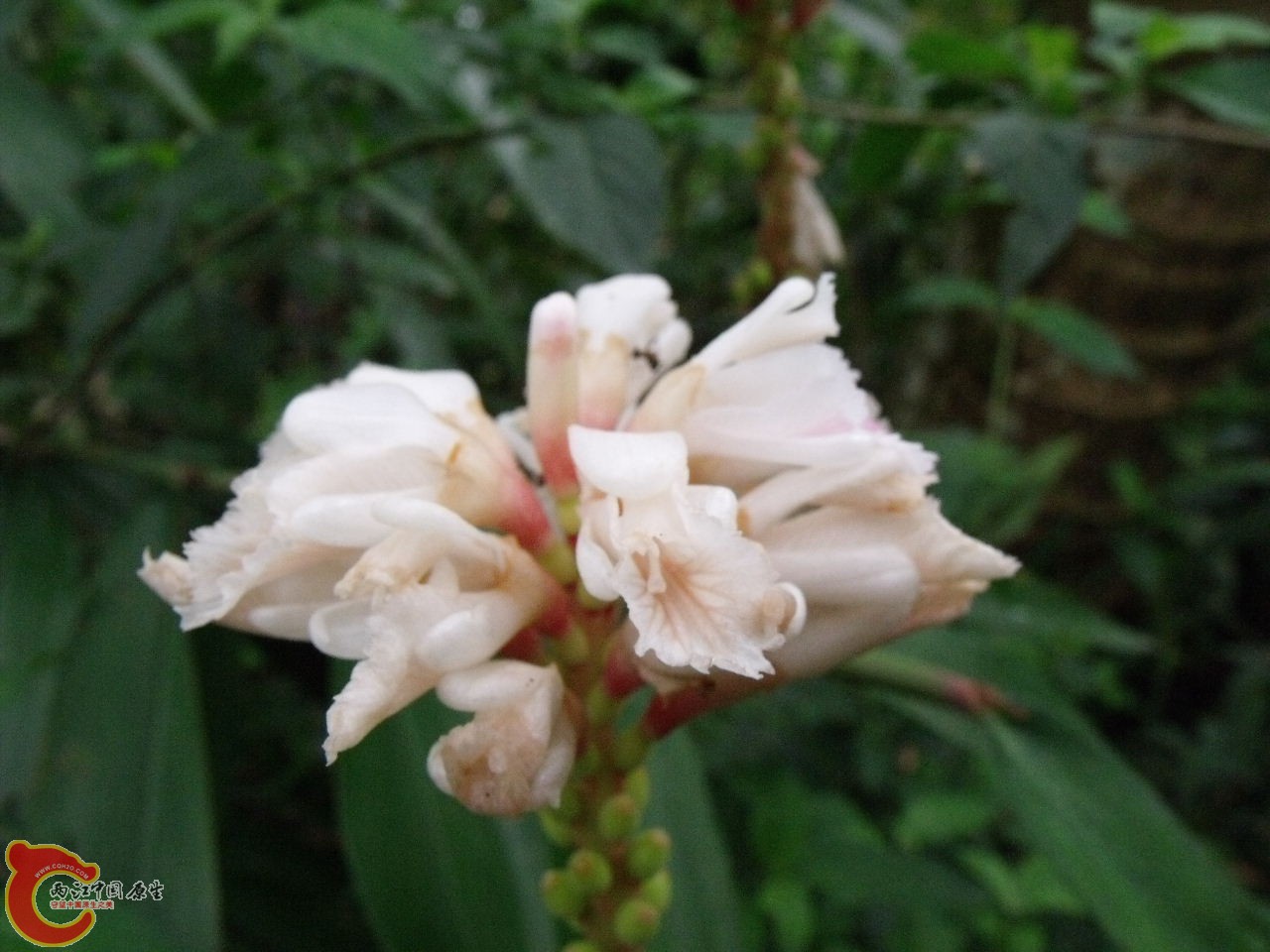 DSCF3170.JPG