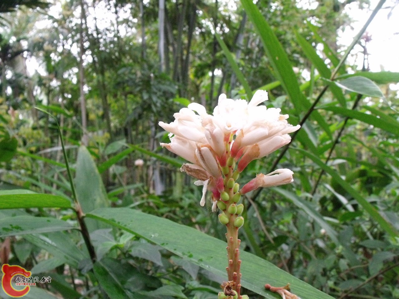 DSCF3172.JPG