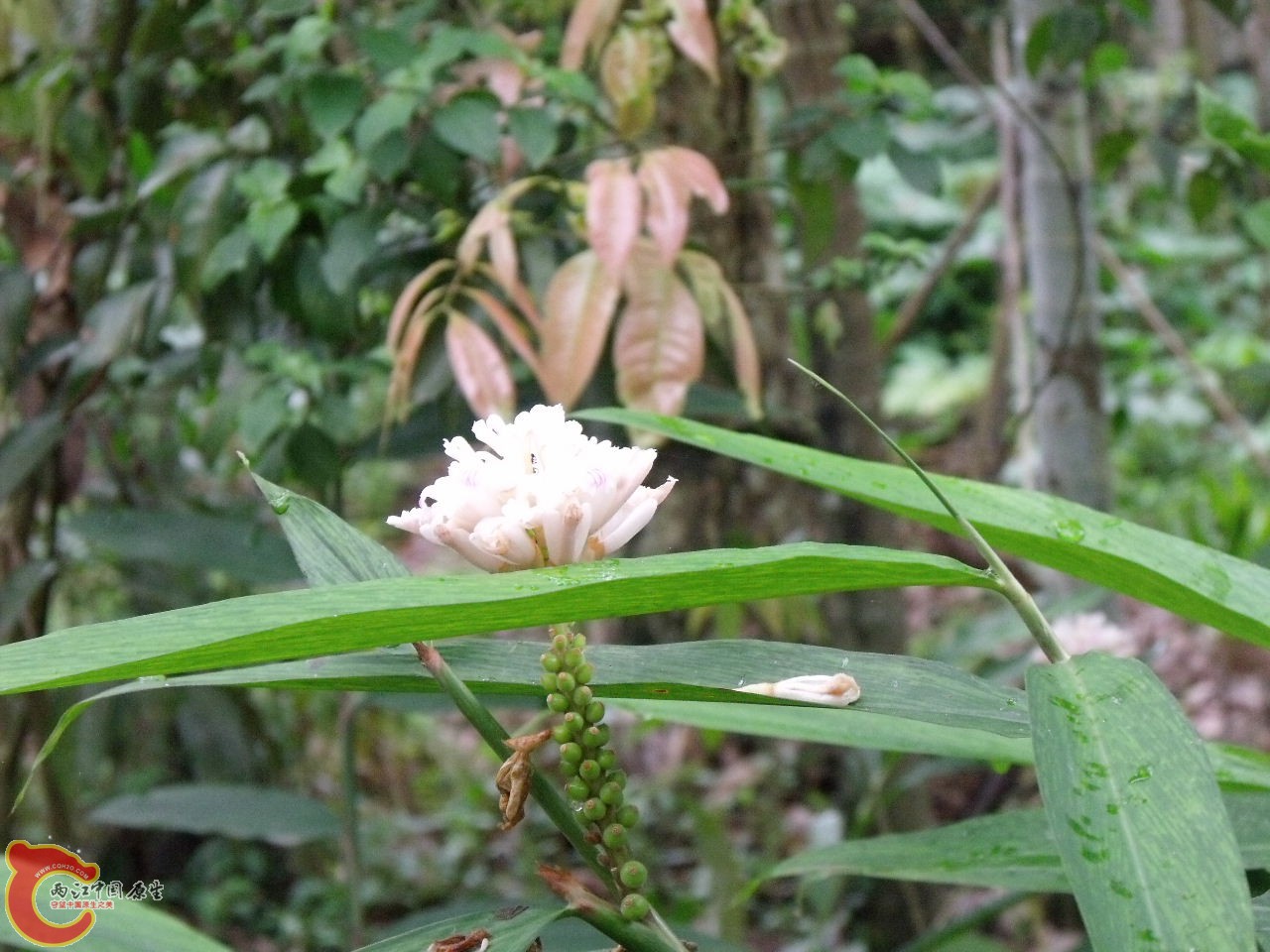 DSCF3173.JPG