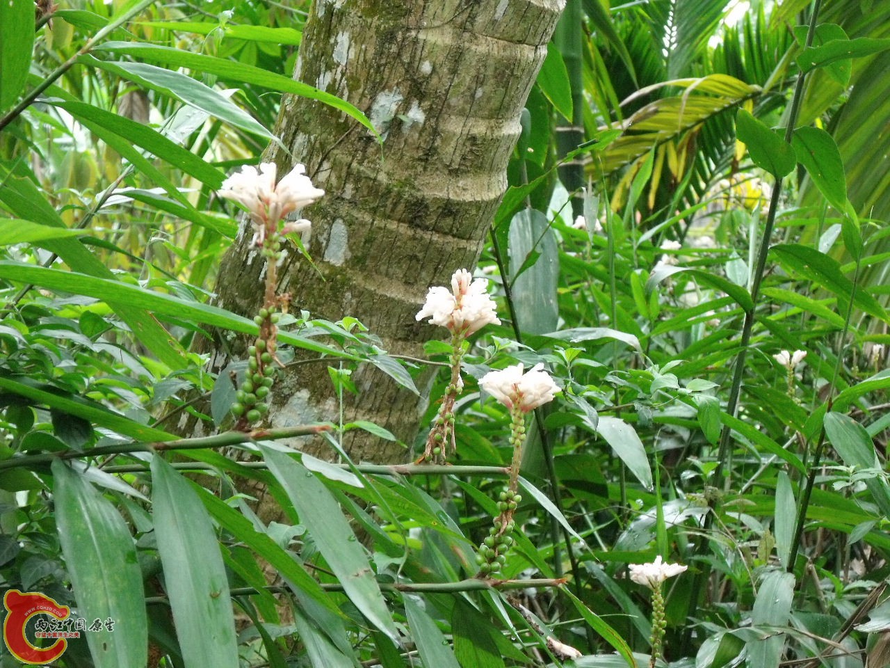 DSCF3174.JPG