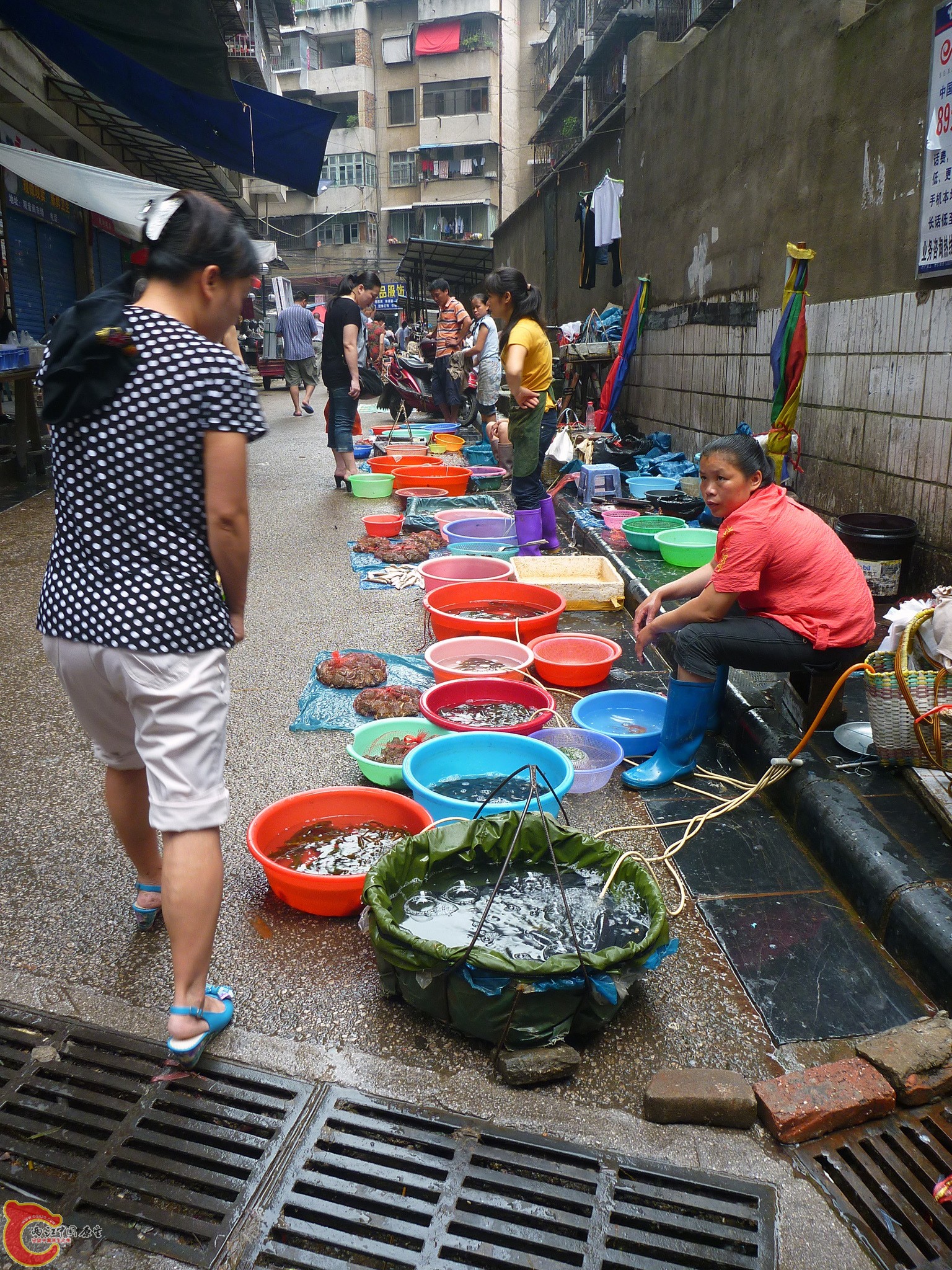 B002.jpg