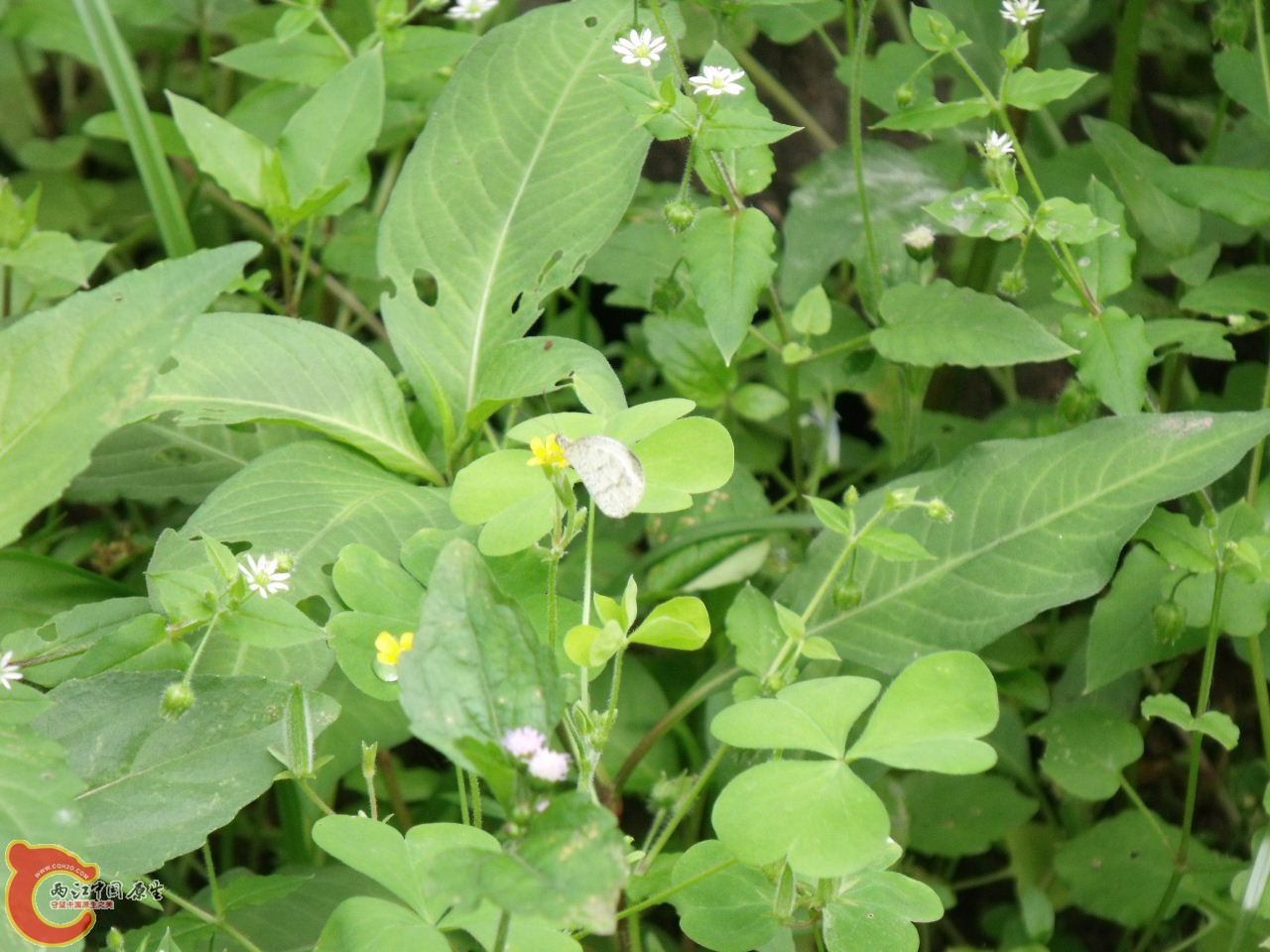 DSCF3292.JPG