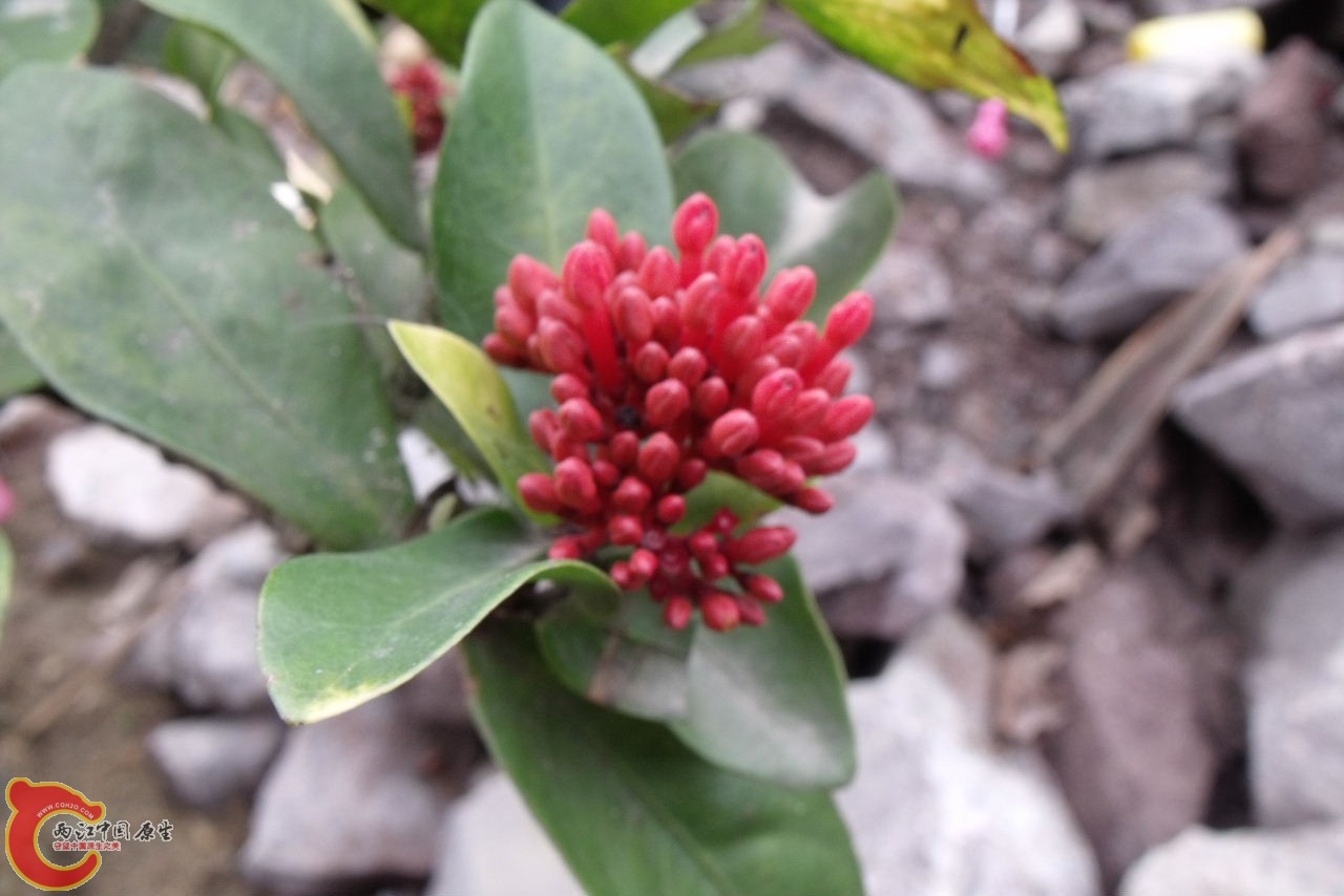 DSCF3228.JPG