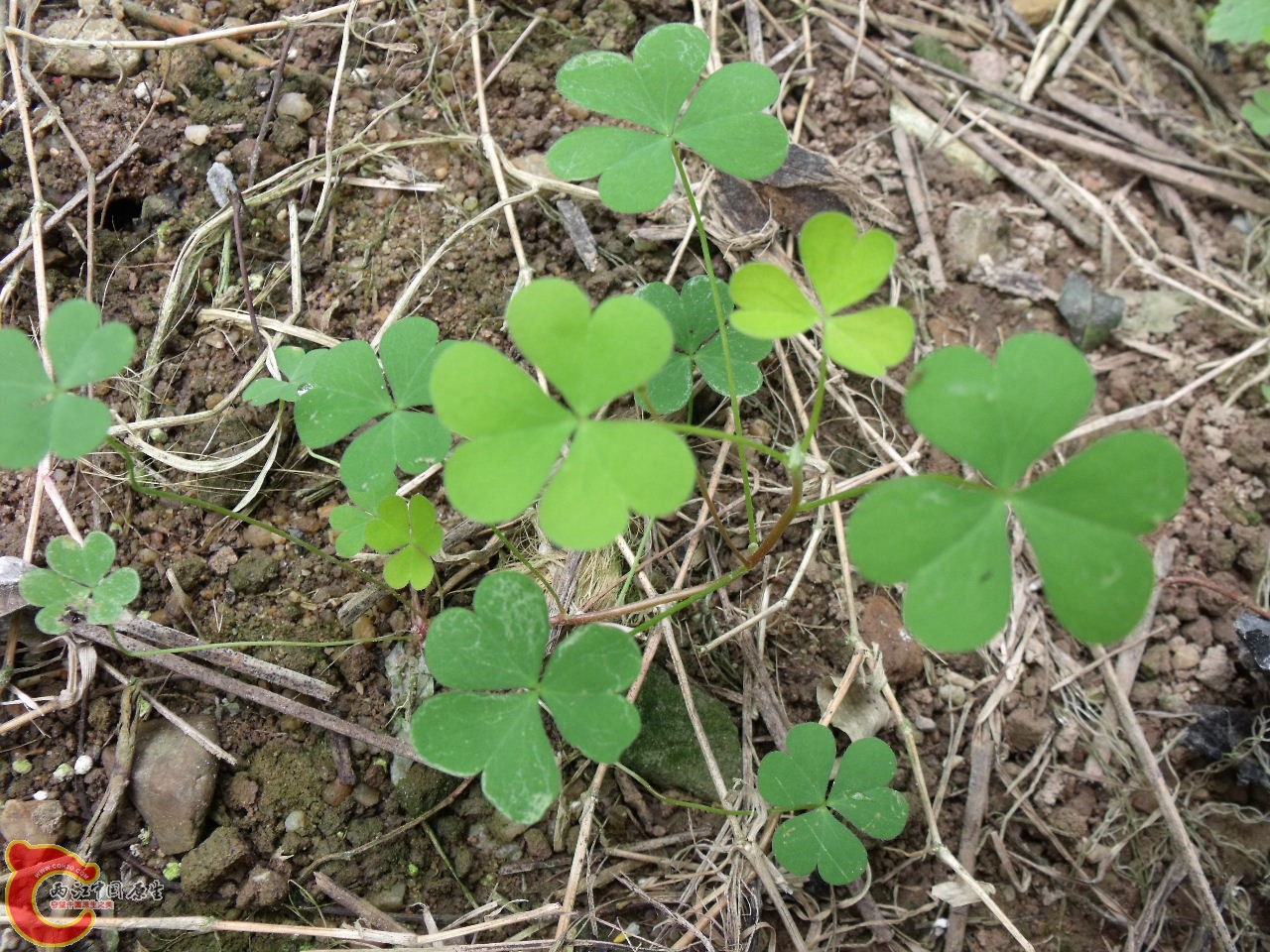 DSCF3270.JPG