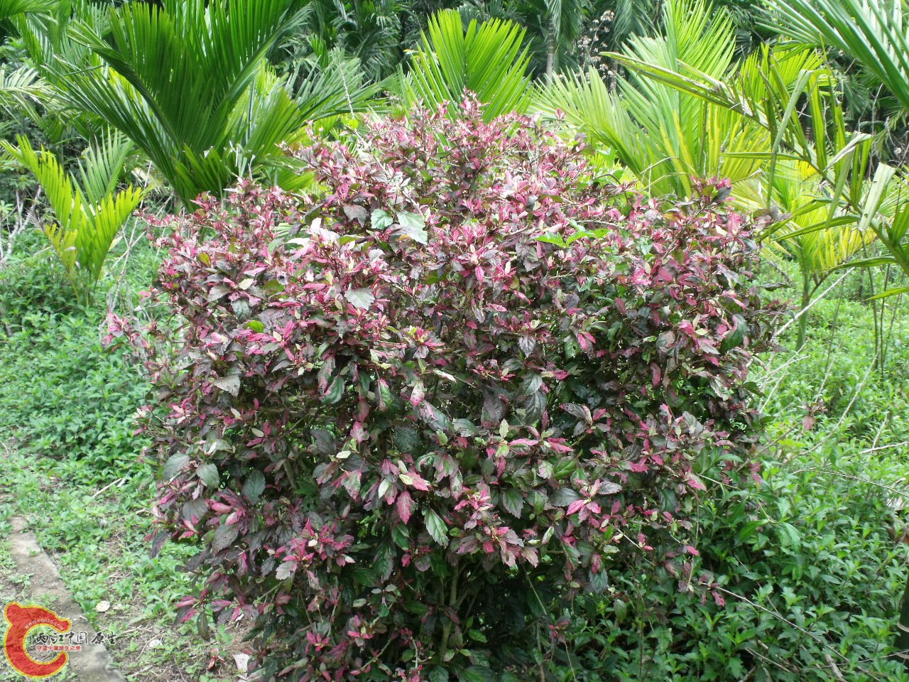 DSCF3277.JPG