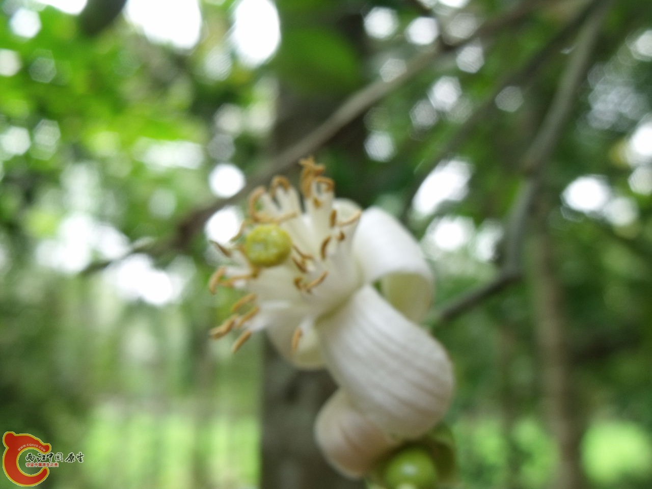 DSCF3281.JPG