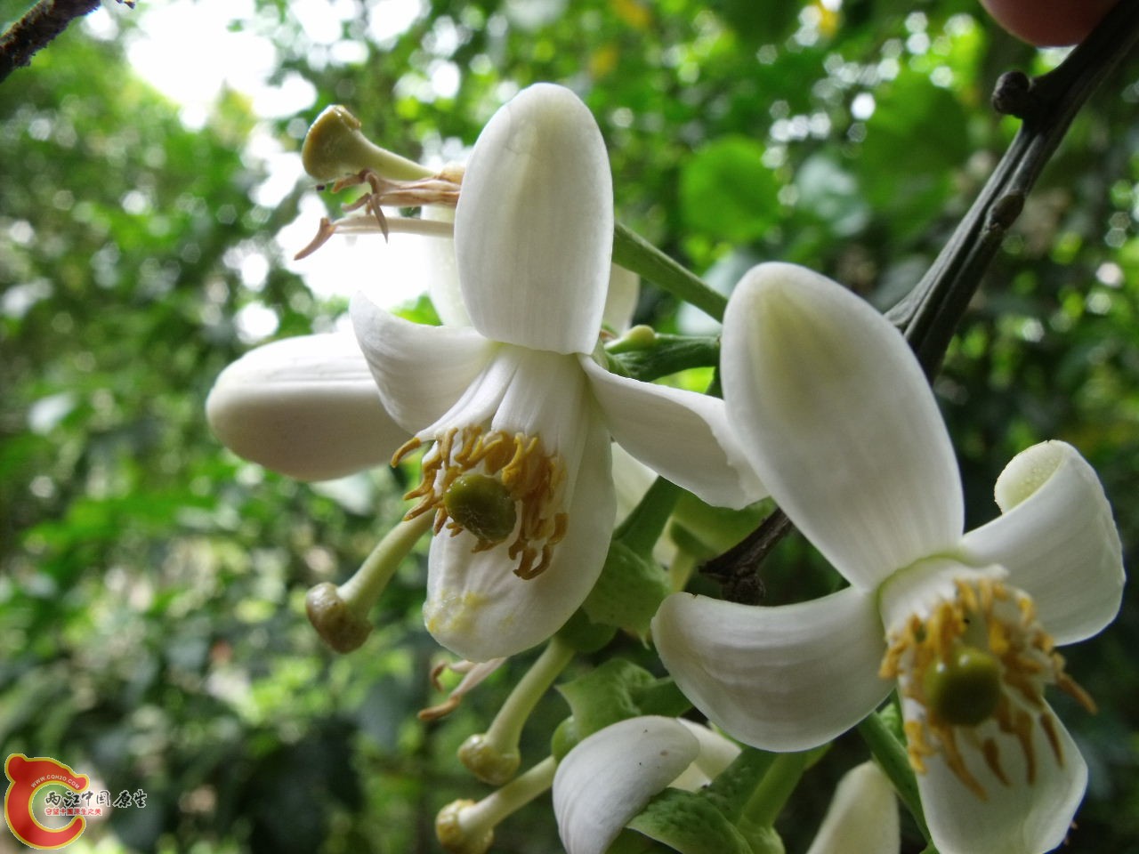 DSCF3282.JPG