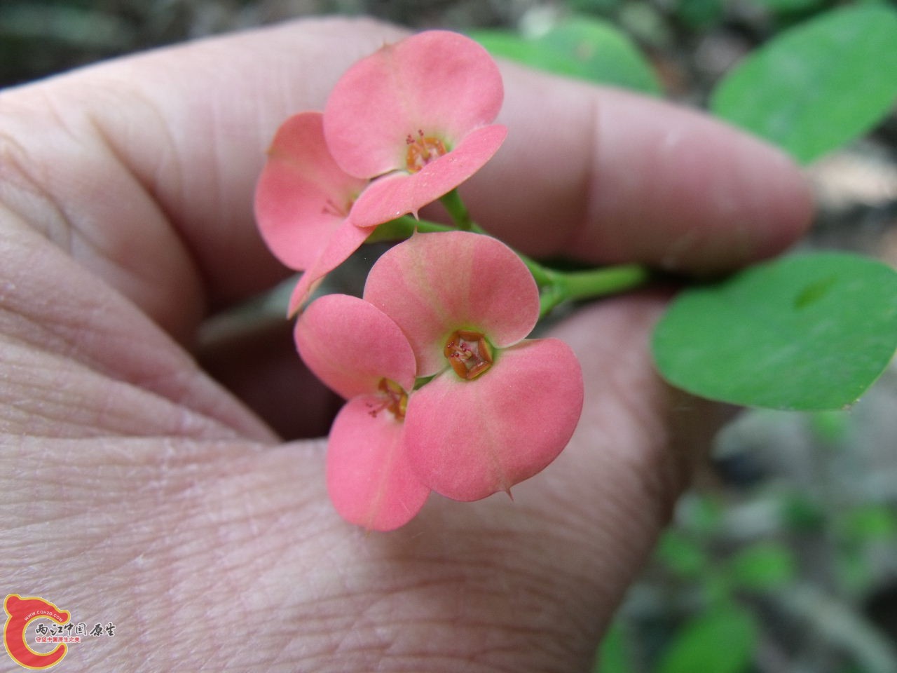 DSCF3284.JPG