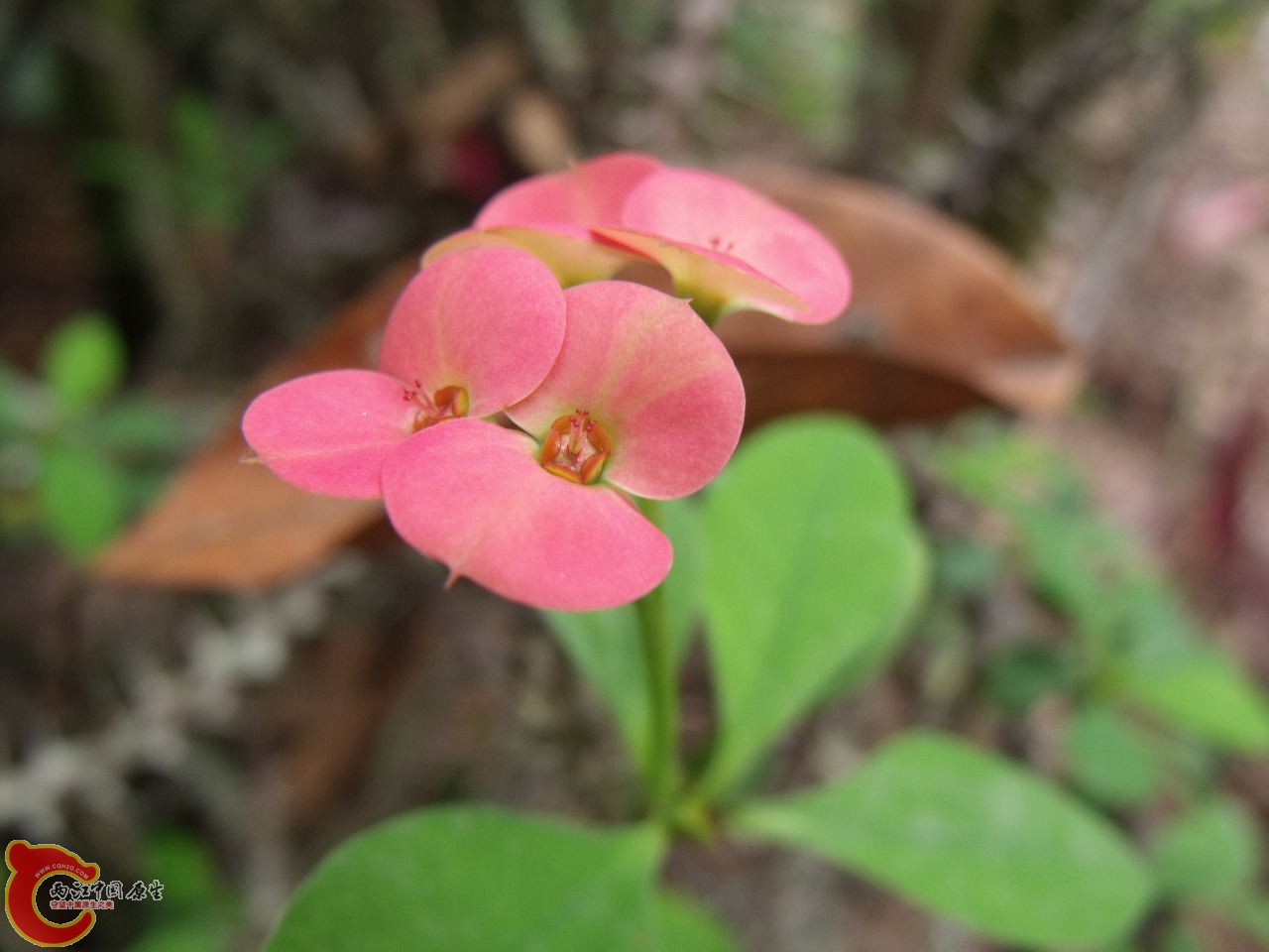 DSCF3285.JPG