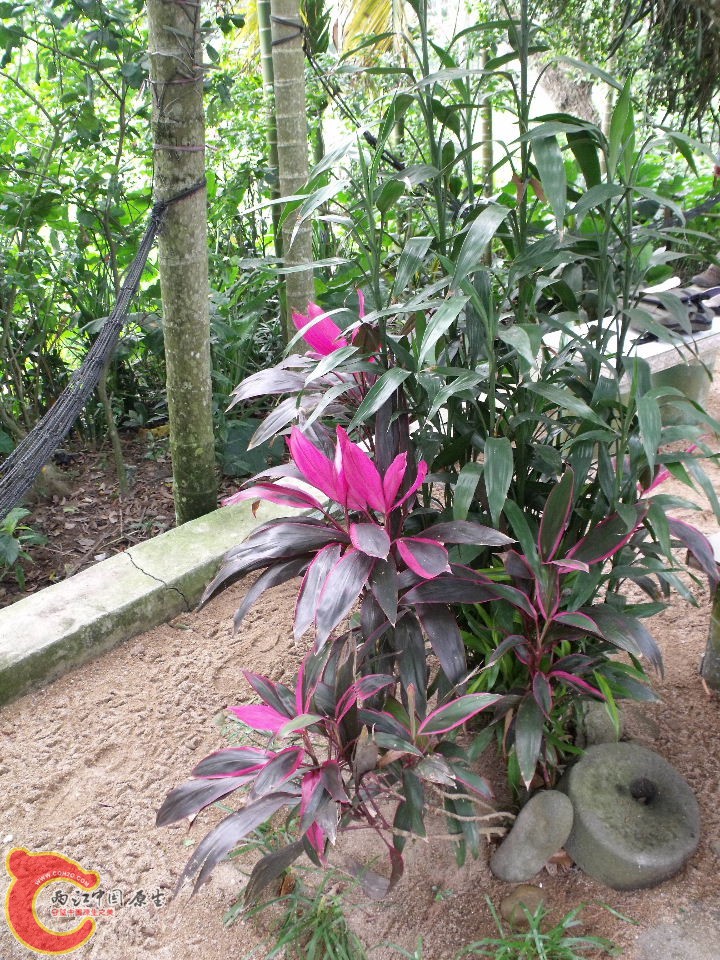 DSCF3288.JPG