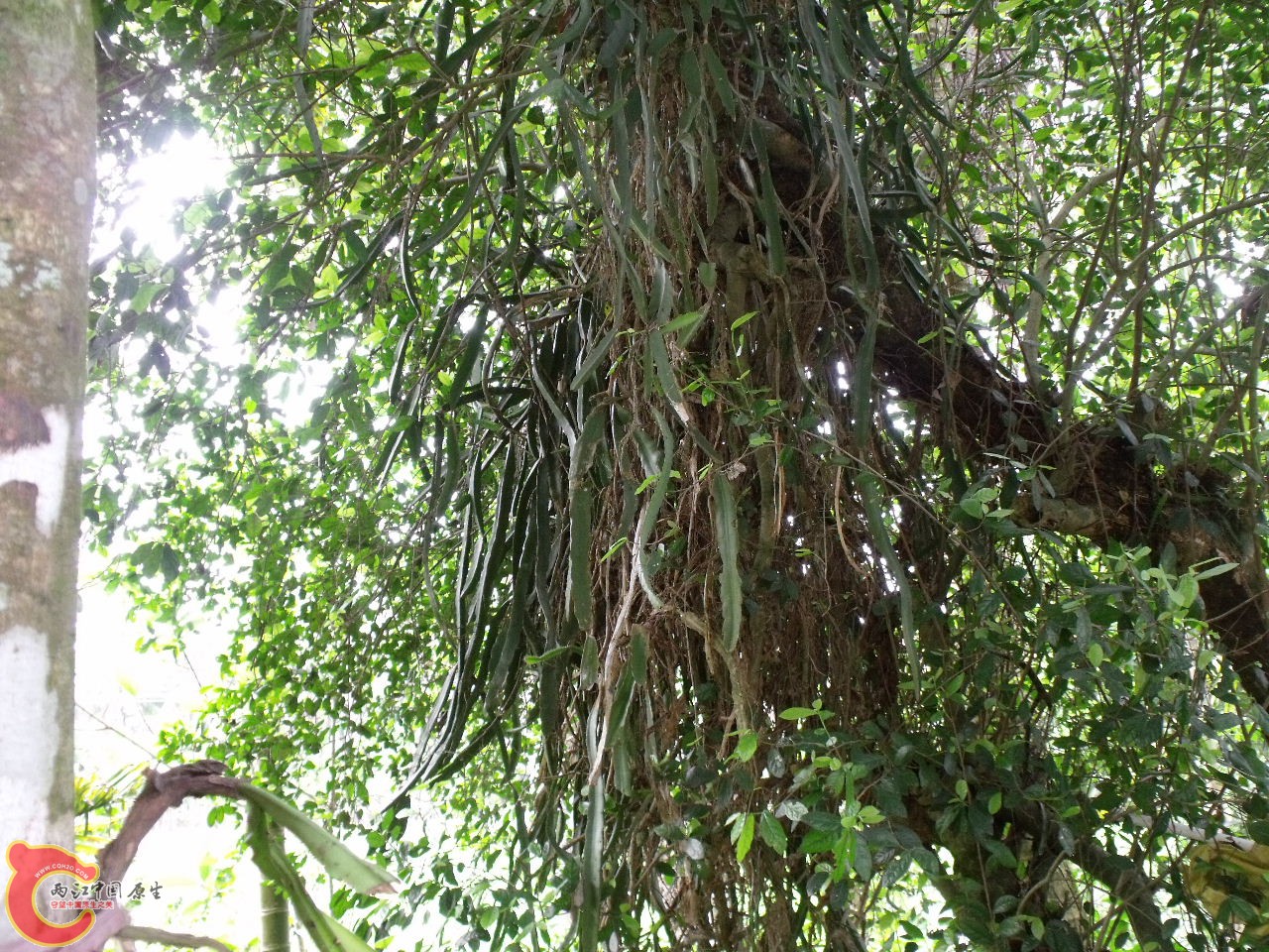 DSCF3290.JPG