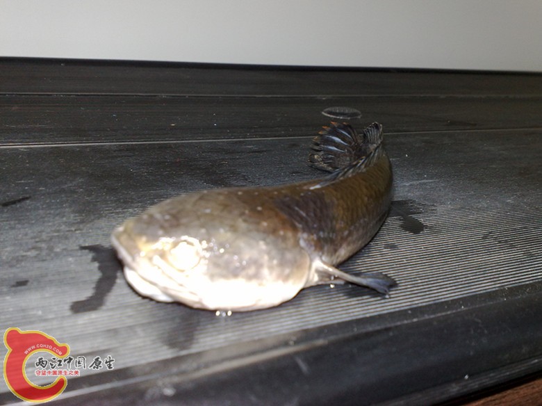 201106091018_副本.jpg