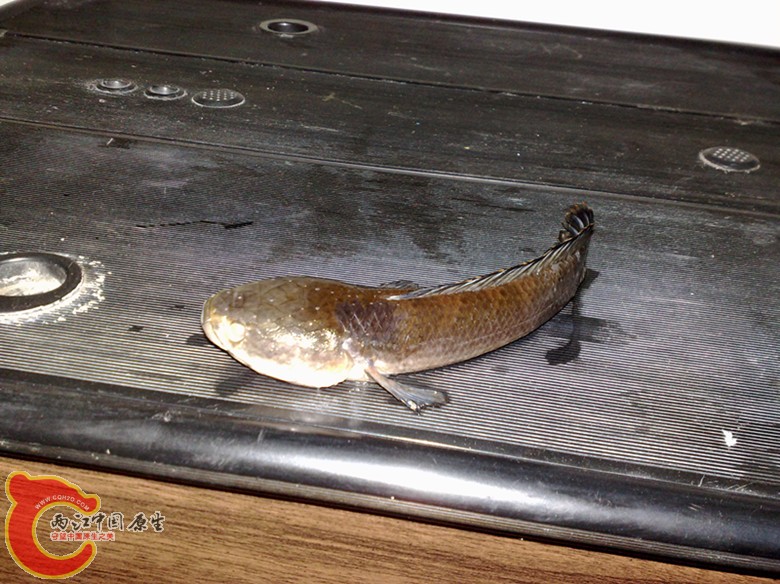 201106091019_副本.jpg