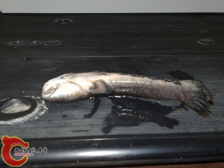 201106091020_副本.jpg