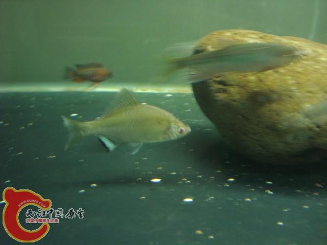 DSC05635.JPG
