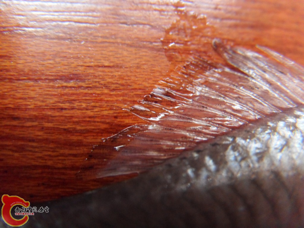 SDC10217.JPG