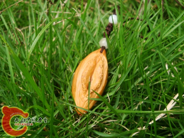 DSC00495.JPG