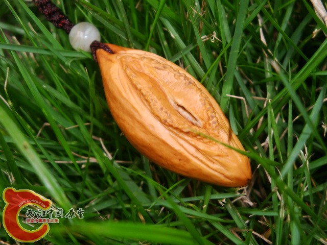 DSC00496.JPG