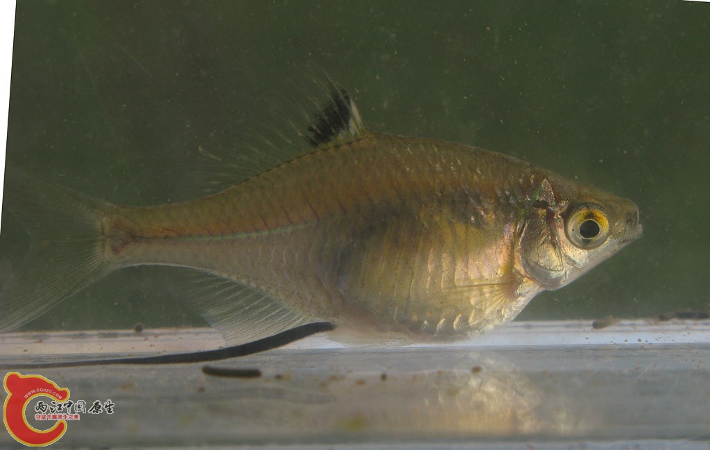 zIMG_3685.jpg