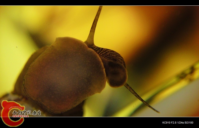 P12-06-11_22.28[03].jpg