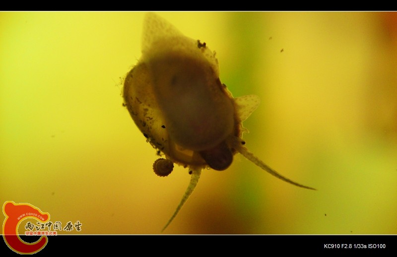 P12-06-11_22.28[01].jpg
