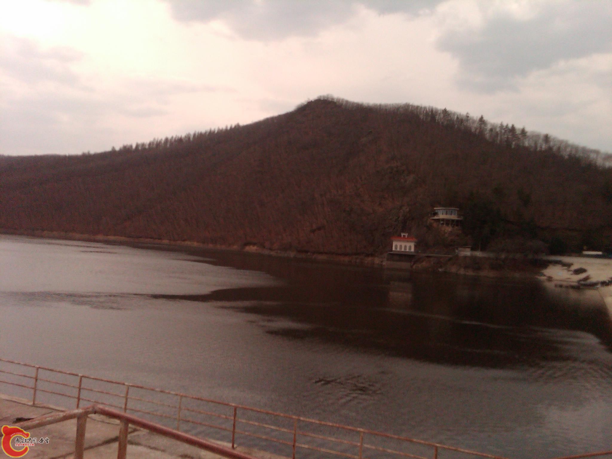 IMG00048-20110430-1246.jpg