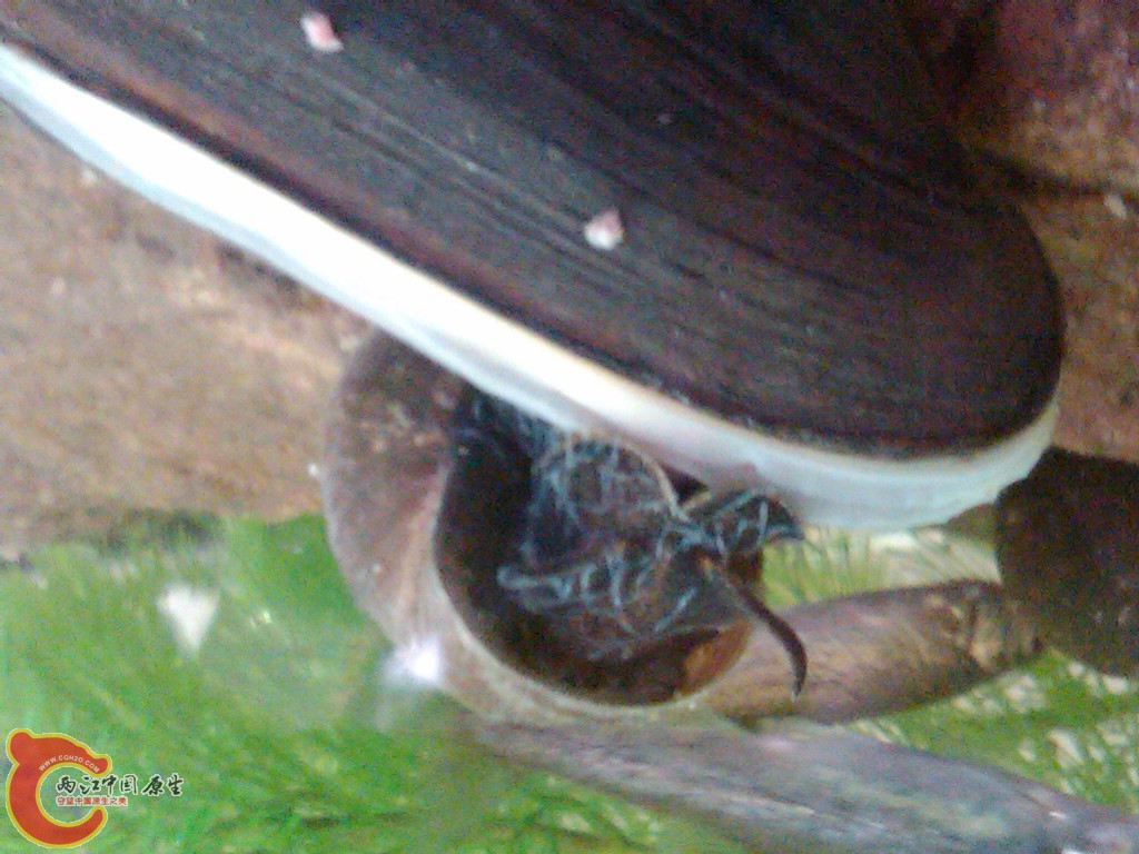 IMG00105-20110613-0747.jpg
