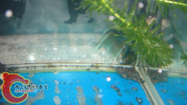 DSC05361_缩小大小.JPG