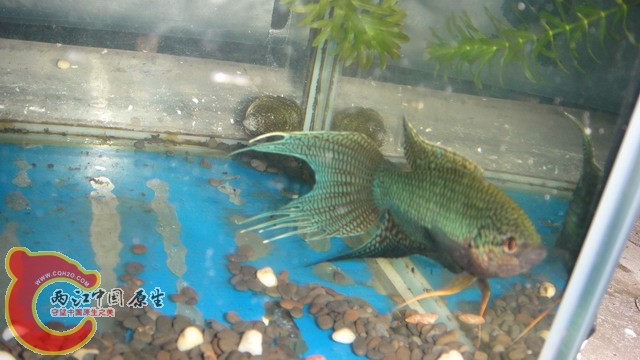 DSC05367_缩小大小.JPG