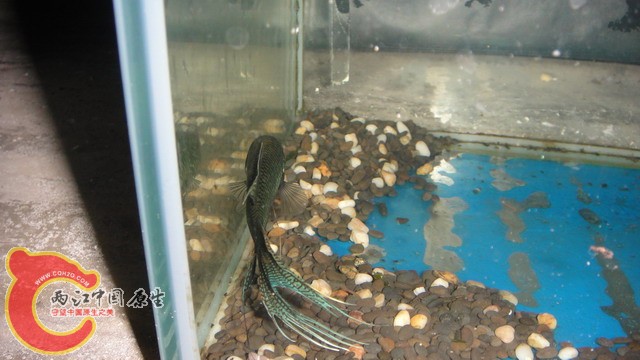 DSC05371_缩小大小.JPG