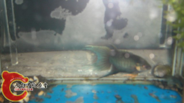 DSC05380_缩小大小.JPG