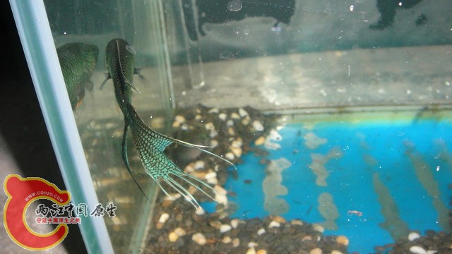 DSC05386_缩小大小.JPG