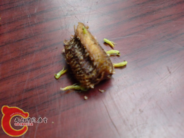 DSC00985.JPG