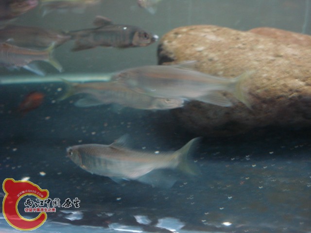 DSC05671.JPG