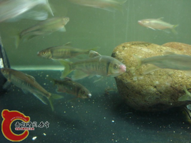 DSC05672.JPG