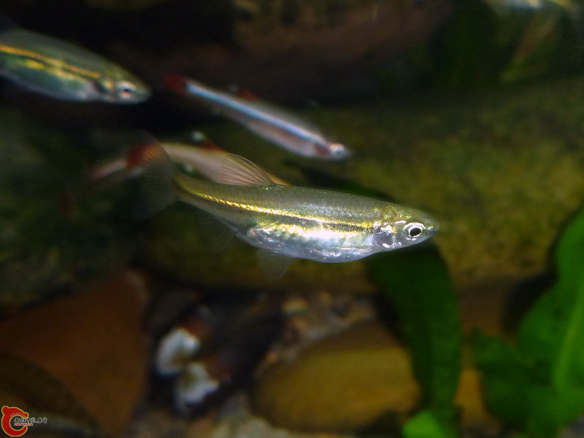 20110415_06.JPG
