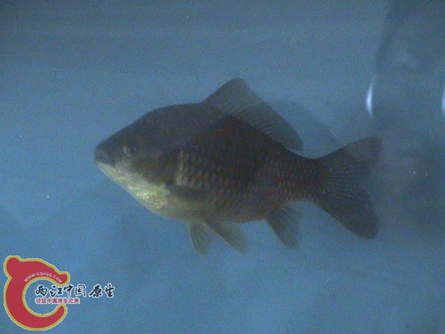 DSC01612.JPG