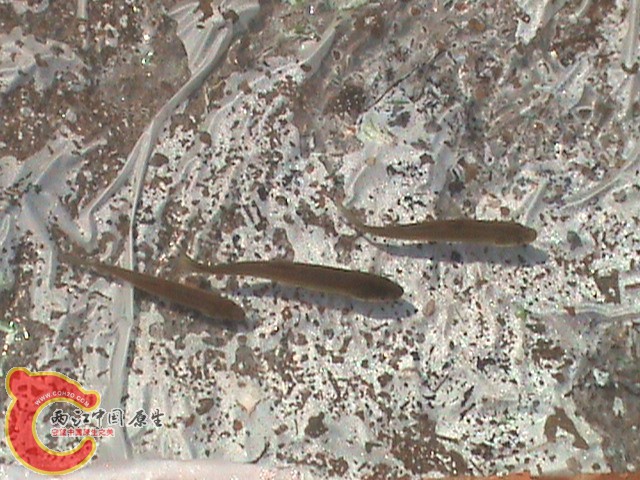 DSC01632.JPG