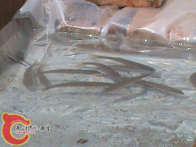 DSC01635.JPG