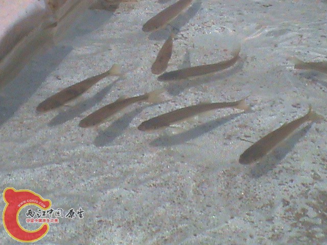 DSC01637.JPG