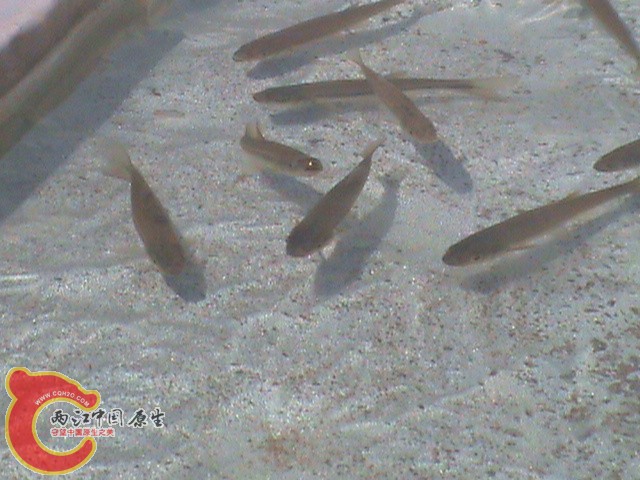 DSC01638.JPG