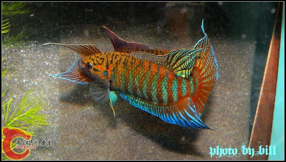 byagaizjx-3.jpg