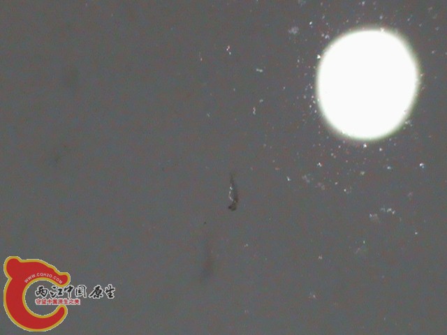 DSC01669.JPG