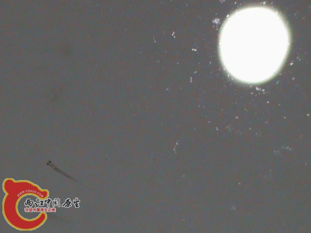 DSC01670.JPG