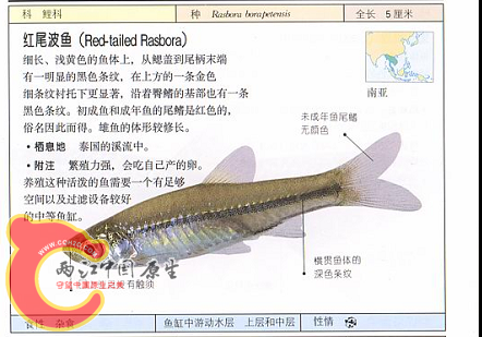 QQ截图20110617010209.png