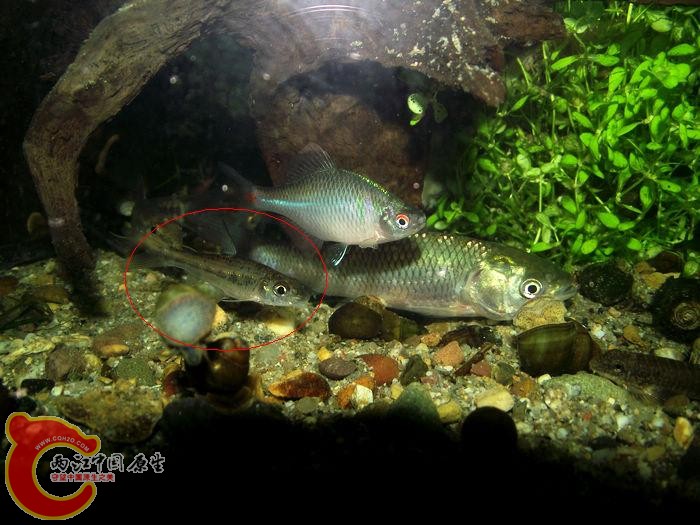 DSCF4964.JPG