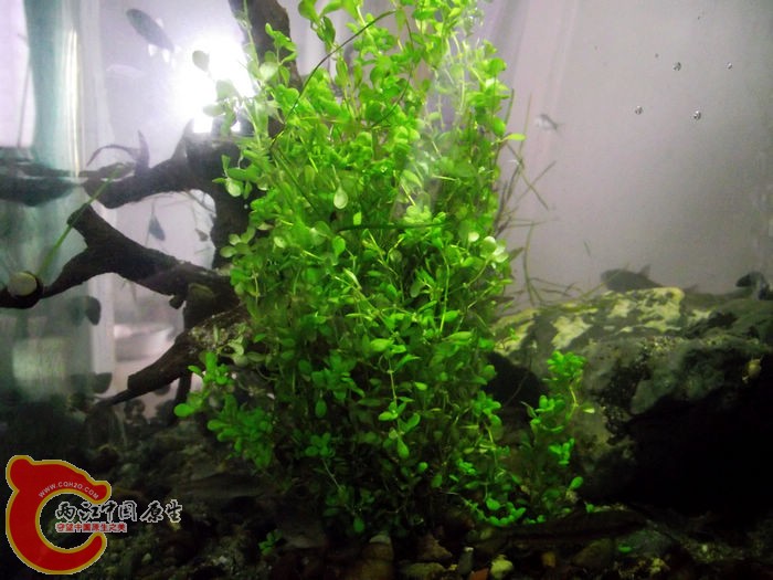 DSCF4976.jpg
