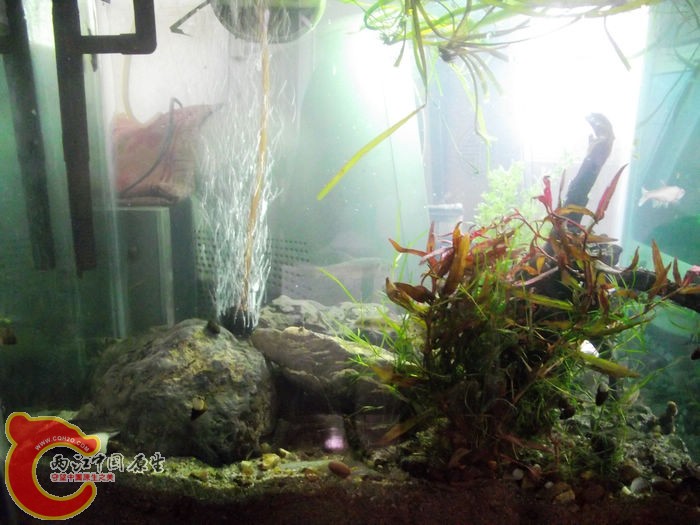 DSCF4980.jpg
