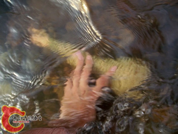 DSCF5039.jpg