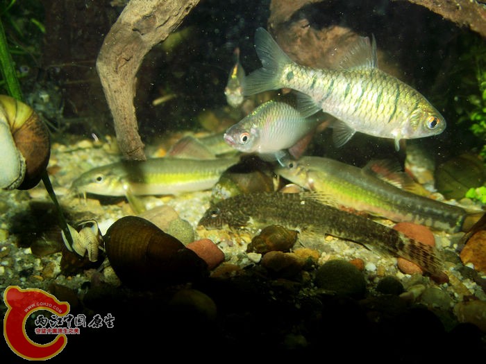 DSCF5044.jpg